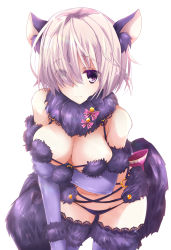 Rule 34 | 1girl, animal ears, blush, breasts, cleavage, closed mouth, elbow gloves, eyes visible through hair, fate/grand order, fate (series), fox ears, fox tail, fur-trimmed gloves, fur collar, fur trim, gloves, hair over one eye, highres, lace, lace-trimmed legwear, lace trim, large breasts, looking at viewer, mash kyrielight, mash kyrielight (dangerous beast), o-ring, o-ring top, official alternate costume, purple gloves, rikudou inuhiko, short hair, simple background, smile, solo, tail, thighhighs, tsurime, white background, wolf ears, wolf tail