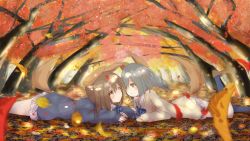 Rule 34 | 2girls, animal ears, artist request, autumn, autumn leaves, black hair, black socks, blush, braid, brown eyes, brown hair, dog ears, elin, eye contact, face-to-face, falling leaves, highres, kneehighs, leaf, leg lift, long hair, looking at another, lying, multiple girls, on stomach, outdoors, school uniform, shirt, shoes, skirt, smile, socks, sweater, tail, tera online, tree, twin braids, twintails, yuri
