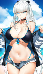 Rule 34 | 1girl, absurdres, bikini, black bikini, black bow, blue eyes, bow, braid, breasts, casul, choker, cleavage, cloud, fate/grand order, fate (series), french braid, front-tie top, grey hair, hair bow, highres, jacket, large breasts, long hair, looking at viewer, morgan le fay (fate), navel, ocean, open clothes, open fly, open jacket, ponytail, short shorts, shorts, sidelocks, sky, solo, swimsuit, thighs, very long hair