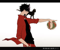 Rule 34 | 10s, 1boy, ball, black hair, cat, covered eyes, cowboy shot, from side, haikyuu!!, jacket, kuroo tetsurou, letterboxed, male focus, motion blur, pointing, short hair, simple background, solo, spiked hair, track jacket, volleyball, volleyball (object), wonkrin