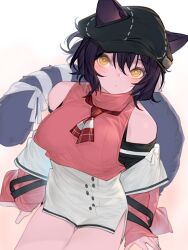 Rule 34 | 1girl, animal ears, arknights, bare shoulders, black hair, blush, breasts, bright pupils, cat ears, cat girl, cat tail, closed mouth, ears through headwear, high-waist skirt, highres, kochiya (gothope), large breasts, long sleeves, looking at viewer, official alternate costume, pink shirt, rockrock (arknights), rockrock (before singing) (arknights), shirt, short hair, sitting, skirt, solo, tail, thigh gap, white skirt, yellow eyes