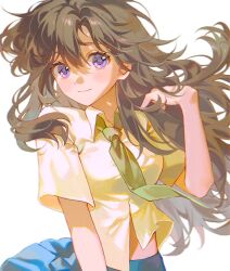 Rule 34 | 1girl, blue skirt, blush, brown hair, closed mouth, collared shirt, commentary, cowboy shot, dress shirt, green necktie, hair between eyes, highres, long hair, looking at viewer, meitantei conan, midriff peek, mouri ran, necktie, pleated skirt, pong (pong o0), purple eyes, shadow, shirt, short sleeves, simple background, skirt, solo, white background, white shirt
