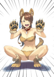 Rule 34 | 10s, 1girl, animal collar, animal ears, animal hands, bare shoulders, beatrix (granblue fantasy), bikini, breasts, brown eyes, brown hair, claws, collar, dog ears, dog paws, dog tail, fang, gloves, granblue fantasy, hair ornament, long hair, looking at viewer, navel, open mouth, paw gloves, paw shoes, ponytail, shimotsuki eight, shoes, signature, solo, spiked collar, spikes, spread legs, squatting, swimsuit, tail