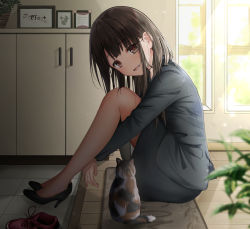 Rule 34 | 1girl, :d, animal, bare legs, black footwear, black hair, black jacket, black skirt, blazer, blurry, blurry foreground, blush, breasts, brown eyes, calico, cat, day, depth of field, formal, full body, head tilt, high heels, highres, hugging own legs, indoors, jacket, knees up, legs together, light rays, long hair, long sleeves, looking at viewer, looking to the side, mat, miniskirt, monaka curl, open mouth, original, pencil skirt, picture frame, plant, potted plant, pumps, red footwear, shoes, sidelocks, sitting, skirt, skirt suit, smile, sneakers, solo, sparkle, suit, sunbeam, sunlight, tile floor, tiles, uniform