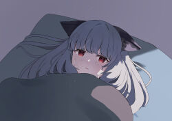 Rule 34 | 1girl, absurdres, animal ear fluff, animal ears, arknights, blush, frostleaf (arknights), grey background, grey hair, highres, long hair, looking at viewer, lying, on back, parted lips, pillow, red eyes, simple background, solo, suzubotan, under covers