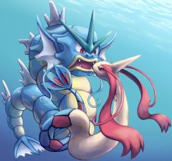 Rule 34 | commentary request, creature, creatures (company), eye contact, frown, full body, game freak, gen 1 pokemon, gen 3 pokemon, gyarados, looking at another, mijinko (barabadge), milotic, nintendo, no humans, pokemon, pokemon (creature), underwater, water