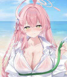 Rule 34 | 1girl, absurdres, ahoge, beach, bikini, blue archive, blush, braid, breasts, chocola vt, cleavage, closed mouth, collarbone, collared shirt, day, green eyes, halo, hanako (blue archive), hanako (swimsuit) (blue archive), highres, holding, hose, large breasts, long hair, long sleeves, looking at viewer, ocean, official alternate costume, outdoors, pink hair, pink halo, red bikini, see-through, see-through shirt, shirt, single braid, smile, solo, swimsuit, water, wet, wet clothes, wet shirt, white shirt