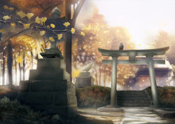 Rule 34 | bird, building, commentary request, crow, geshi, ginkgo tree, ginkgo leaf, grass, leaf, no humans, original, plant, scenery, shade, shrine, stairs, statue, stone stairs, sunlight, torii, tree