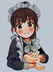 Rule 34 | . ., 1girl, animal, animal on arm, apron, bird, bird on arm, black eyes, blue background, blunt bangs, brown hair, chick, closed mouth, commentary, cropped torso, dot nose, english commentary, film grain, frilled apron, frilled hairband, frills, hairband, hand up, io (onisarashi), long hair, long sleeves, looking at viewer, maid, maid apron, maid headdress, neck ribbon, petting, ponko (ponkotsu ponko), ponkotsu ponko, ponytail, ribbon, simple background, sleeve cuffs, smile, solo, white apron, white hairband, white ribbon