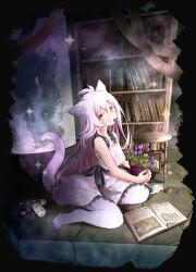 Rule 34 | 1girl, animal ears, animal feet, book, bookshelf, cat ears, cat girl, cat tail, dress, highres, long hair, looking at viewer, mono (nekogoya), mouth hold, on ground, open book, original, petal in mouth, plant, potted plant, sash, sleeveless, sleeveless dress, stool, tail, white dress, white hair, yellow eyes