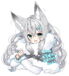Rule 34 | 1girl, :d, animal ear fluff, animal ears, blush, capelet, copyright request, cropped torso, fang, fur-trimmed capelet, fur trim, green eyes, grey capelet, grey hair, hair between eyes, hair ornament, hairclip, highres, long hair, long sleeves, looking at viewer, nachiru, open mouth, own hands together, shirt, simple background, smile, solo, translation request, upper body, virtual youtuber, white background, white shirt