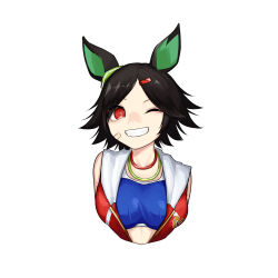 Rule 34 | 1girl, absurdres, animal ears, bandaid, bandaid on face, black hair, blue shirt, breasts, commentary, cropped torso, grin, hair ornament, hairclip, highres, horse ears, jacket, looking at viewer, one eye closed, red eyes, red jacket, sanada ina, shirt, short hair, simple background, sleeveless, sleeveless jacket, small breasts, smile, solo, tank top, umamusume, upper body, white background, winning ticket (umamusume)