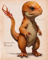 Rule 34 | absurdres, charmander, christopher stoll, claws, creatures (company), full body, game freak, gen 1 pokemon, highres, lizard, nintendo, no humans, pokemon, pokemon (creature), realistic, solo, tail, twitter username