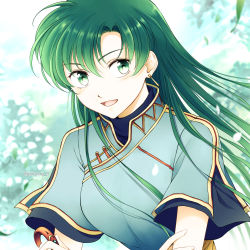 Rule 34 | 1girl, absurdres, blue dress, commentary, dress, earrings, falling leaves, fire emblem, fire emblem: the blazing blade, green eyes, green hair, hair ornament, highres, holding, holding hair ornament, jewelry, leaf, long hair, looking at viewer, lyn (fire emblem), nintendo, shirokuroma 29, smile, solo, symbol-only commentary