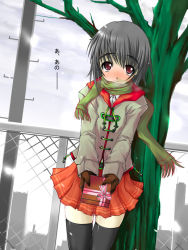 Rule 34 | 1girl, bare tree, black thighhighs, blush, box, chain-link fence, fence, gakky, gift, gift box, green scarf, holding, holding gift, incoming gift, looking at viewer, miniskirt, original, outdoors, pleated skirt, scarf, school uniform, serafuku, skirt, solo, thighhighs, tree, valentine, zettai ryouiki