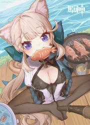 Rule 34 | 1girl, absurdres, animal ear fluff, animal ears, black pantyhose, blue eyes, breasts, cat ears, cleavage, commentary request, facial mark, feet, fish (food), genshin impact, grey hair, highres, holding with feet, long hair, looking at viewer, lynette (genshin impact), making-of available, medium breasts, mouth hold, no shoes, outdoors, pantyhose, sitting, solo, songzzz, star (symbol), very long hair, water