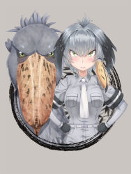 Rule 34 | &gt;:), 10s, 1girl, belt, bird, black gloves, black hair, blonde hair, blush, breasts, closed mouth, collared shirt, gloves, green eyes, grey background, grey hair, grey shirt, grey shorts, hair between eyes, hands on own hips, kemono friends, long sleeves, looking at viewer, medium breasts, multicolored hair, necktie, shirt, shoebill, shoebill (kemono friends), short sleeves, shorts, smile, umitsuki yu, v-shaped eyebrows, white necktie, wing collar