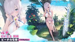 Rule 34 | 4girls, artist request, azur lane, beach, bikini, blue choker, blue eyes, bracelet, breasts, choker, coconut tree, dead or alive, dead or alive xtreme, food, grass, groin, hair over eyes, highres, holding, holding food, ice cream, jewelry, large breasts, looking at viewer, luna (doa), mery (yangmalgage), multiple girls, navel, ocean, official art, palm tree, panties, plant, stomach, swimsuit, thigh strap, thighs, tree, underwear, white bikini, white footwear, white hair, white panties, wristband