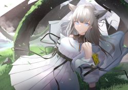 Rule 34 | 1girl, animal ears, arknights, arknights: endfield, artist name, bare shoulders, black gloves, blue eyes, blunt bangs, breasts, closed mouth, day, dress, dutch angle, extra ears, gloves, grass, highres, jacket, kayjae, light particles, long hair, long sleeves, looking at viewer, medium breasts, off shoulder, open clothes, open jacket, outdoors, perlica (arknights), pleated dress, silver hair, solo, white dress, white jacket