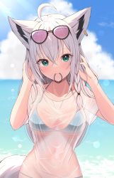 Rule 34 | 1girl, absurdres, ahoge, animal ears, bikini, bikini under clothes, black-framed eyewear, blue bikini, blue sky, blush, breasts, cleavage, closed mouth, cloud, collarbone, commentary request, day, eyewear on head, fox ears, fox girl, fox tail, green eyes, hair tie, hand up, hands in hair, highres, hololive, long hair, medium breasts, mouth hold, navel, ocean, outdoors, pink-tinted eyewear, see-through, shirakami fubuki, shirt, short sleeves, silver hair, sky, smile, solo, starfox1015, stomach, sunglasses, swimsuit, tail, tinted eyewear, upper body, virtual youtuber, water, wet, wet clothes, wet shirt, white shirt