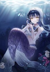 Rule 34 | 1girl, absurdres, black hair, breasts, collared shirt, commentary request, crop top, cropped shirt, ellet j, fins, full body, grin, head fins, highres, holding, long hair, looking at viewer, mermaid, monster girl, original, scales, shirt, sleeveless, sleeveless shirt, smile, solo, underwater, yellow eyes