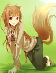 Rule 34 | 1girl, absurdres, all fours, animal ears, barefoot, blush, brown hair, fang, genko (pixiv5177622), green background, grin, highres, holo, long hair, looking at viewer, pants, red eyes, reference work, smile, solo, spice and wolf, tail, wolf ears, wolf tail