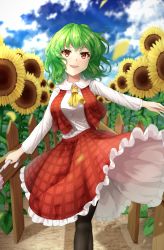 Rule 34 | 1girl, absurdres, ascot, blue sky, commentary request, curly hair, fence, flower, frilled skirt, frills, garden of the sun, green hair, highres, holding, holding flower, holding umbrella, kazami yuuka, long sleeves, looking at viewer, medium hair, open mouth, parasol, plaid, plaid skirt, plaid vest, red eyes, red skirt, red vest, shirt, short hair, skirt, sky, solo, standing, sunflower, touhou, umbrella, vest, white shirt, yosshy