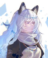 Rule 34 | 1girl, animal ear fluff, animal ears, arknights, black capelet, braid, capelet, closed mouth, dress, hair between eyes, highres, jewelry, kanalia, leopard ears, long hair, necklace, pramanix (arknights), purple eyes, silver hair, simple background, smile, solo, turtleneck, turtleneck dress, twin braids, upper body, white background, white dress