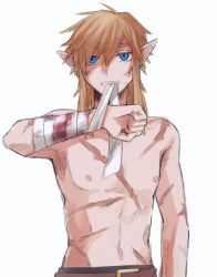 Rule 34 | 1boy, arm up, armpits, bandaged arm, bandages, belt, blonde hair, blood, blue eyes, clenched hand, earrings, hair between eyes, jewelry, link, male focus, medium hair, mouth hold, navel, nintendo, nipples, pectorals, pointy ears, scar, scar on arm, scar on chest, scar on stomach, shijima (4jima), sidelocks, simple background, sketch, solo, standing, stomach, teeth, the legend of zelda, the legend of zelda: breath of the wild, topless male, upper body, white background