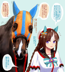 Rule 34 | 1girl, 1other, animal ears, beret, blunt bangs, braid, brown hair, creature and personification, fantomyu, hat, highres, hokko tarumae (racehorse), hokko tarumae (umamusume), horse, horse ears, horse girl, blue background, long hair, looking at another, looking at viewer, multicolored hair, purple eyes, real life, sailor hat, simple background, translation request, twin braids, two-tone hair, umamusume