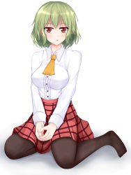 Rule 34 | 1girl, ascot, bad feet, bad id, bad pixiv id, black pantyhose, breasts, female focus, green hair, highres, kazami yuuka, large breasts, long sleeves, looking at viewer, pantyhose, red eyes, shirt, simple background, sitting, skirt, solo, touhou, v arms, wariza, wendell