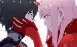 Rule 34 | 10s, 1boy, 1girl, aqua eyes, black hair, close-up, darling in the franxx, eye contact, eyeshadow, from side, hairband, hand on another&#039;s cheek, hand on another&#039;s face, hetero, hiro (darling in the franxx), horns, light particles, long hair, looking at another, maiko (mimi), makeup, pink hair, profile, sidelocks, simple background, upper body, white background, white hairband, zero two (darling in the franxx)