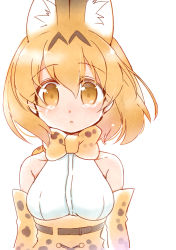 Rule 34 | 10s, 1girl, animal ears, bare shoulders, blonde hair, bow, bowtie, cat ears, crying, elbow gloves, gloves, kemono friends, ousawa kanata, serval (kemono friends), serval print, serval tail, short hair, solo, tail, white background