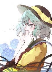 Rule 34 | 1girl, bad id, bad pixiv id, blush, covering own mouth, flower, green eyes, green hair, hands on own face, hat, heart, komeiji koishi, matching hair/eyes, po. (medamaoyazi), rose, short hair, solo, tears, third eye, touhou