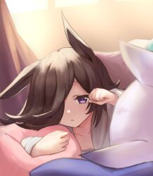 Rule 34 | 2girls, animal ears, black hair, blurry, blurry foreground, commentary, depth of field, grey shirt, hair over one eye, half-closed eyes, highres, horse ears, horse girl, indoors, long hair, long sleeves, lying, mejiro mcqueen (umamusume), morning, multiple girls, omochi inu nekobako, on bed, on stomach, open mouth, out of frame, pajamas, pillow, purple eyes, purple hair, rice shower (umamusume), shirt, sleepy, sunlight, umamusume, under covers, window