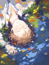 Rule 34 | 1boy, ah roro, autumn leaves, bad drawr id, bad id, blue necktie, brown hair, closed eyes, collared shirt, daisy, facing up, flower, ginkgo leaf, grass, leaf, long sleeves, male focus, necktie, original, parted lips, partially submerged, ripples, shirt, short hair, solo, upper body, watch, water, wetland, white flower, white shirt, wristwatch