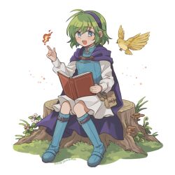 Rule 34 | 1girl, :d, belt, bird, blue eyes, blue footwear, blush stickers, book, boots, cape, fire, fire emblem, fire emblem: the blazing blade, green hair, hairband, highres, holding, holding book, long sleeves, nino (fire emblem), nintendo, open book, open mouth, pouch, purple cape, purple hairband, shirt, short hair, simple background, sitting, skirt, smile, solo, sushitarou, white background, white shirt, white skirt