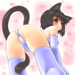 Rule 34 | 1girl, all fours, animal ears, ass, bad id, bad pixiv id, bent over, black hair, blush, brown eyes, cat ears, cat tail, dd (ijigendd), elbow gloves, gloves, original, short hair, solo, tail, thighhighs