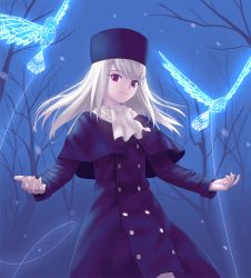 Rule 34 | 1girl, bird, capelet, fate/stay night, fate (series), fur hat, hat, illyasviel von einzbern, long hair, looking at viewer, md5 mismatch, night, papakha, purple hat, red eyes, scarf, solo, tree, tsukikanade, white hair, white scarf