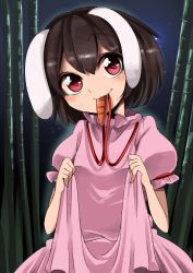 Rule 34 | 1girl, animal ears, bamboo, bamboo forest, brown hair, carrot, dress, food in mouth, forest, gradient background, harusame (unmei no ikasumi), inaba tewi, jewelry, lifted by self, mouth hold, nature, pendant, rabbit ears, red eyes, short hair, smile, solo, touhou