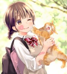 Rule 34 | 1girl, animal, backpack, bag, bandaid, bandaid on arm, bandaid on cheek, bandaid on face, blurry, blurry background, bow, braid, breasts, brown eyes, brown hair, cat, collared shirt, commentary request, depth of field, diagonal-striped bow, eyebrows hidden by hair, hands up, heart, holding, holding animal, kuga tsukasa, long sleeves, one eye closed, open mouth, original, red bow, school uniform, shirt, small breasts, smile, solo, sweater vest, white shirt