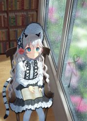 Rule 34 | 1girl, ai ai gasa, animal ears, armchair, blue eyes, blue hat, blue pantyhose, blush, bonnet, book, bookshelf, chair, closed mouth, commentary request, flower, glass writing, hair between eyes, hair flower, hair ornament, hat, highres, lace, lace-trimmed skirt, lace trim, layered skirt, lolita fashion, long hair, long sleeves, looking away, multicolored clothes, multicolored skirt, open book, original, pantyhose, rain, red flower, red rose, rose, shirt, silver hair, sitting, skirt, solo, tail, tiger ears, tiger girl, tiger tail, toujou mina, very long hair, wavy hair, white shirt, window