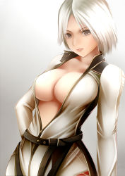 Rule 34 | 1girl, black eyes, breasts, christie (doa), cleavage, dead or alive, large breasts, looking at viewer, nannacy7, open clothes, short hair, solo, tecmo, unzipped, white hair, zipper