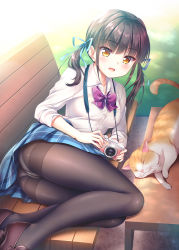 Rule 34 | 1girl, :d, animal, ass, bench, black pantyhose, blue ribbon, blue skirt, blush, bow, breasts, brown eyes, brown footwear, brown hair, camera, cat, collared shirt, commentary request, crotch seam, day, diagonal stripes, dress shirt, fang, hair ribbon, highres, holding, holding camera, loafers, long hair, medium breasts, on bench, open mouth, original, outdoors, panties, panties under pantyhose, pantyhose, park bench, plaid, plaid skirt, purple bow, ribbon, school uniform, shirt, shoes, sidelocks, skirt, smile, solo, striped, striped bow, thighband pantyhose, thighs, twintails, underwear, white panties, white shirt, yuurei yashiki