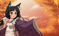 Rule 34 | 1girl, animal ears, apron, autumn, autumn leaves, bad id, bad pixiv id, black hair, blush, brown eyes, fox ears, hair ribbon, ishida seito, japanese clothes, leaf, leaf print, long hair, looking up, maid, maid apron, maple leaf, open mouth, original, outstretched arm, ribbon, solo, sunset, upper body, wa maid, wallpaper, wide sleeves, wind