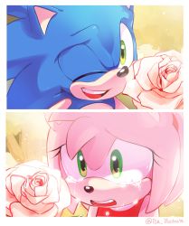 Rule 34 | 1boy, 1girl, amy rose, animal ears, animal nose, artist name, crying, crying with eyes open, derivative work, dress, flower, furry, furry female, furry male, green eyes, hedgehog, hedgehog ears, highres, isa-415810, nature, one eye closed, open mouth, pink fur, rose, smile, snout, sonic (series), sonic the hedgehog, sonic x, tears, teeth, tree