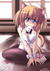 Rule 34 | 1girl, animal ears, blonde hair, blue eyes, bow, bowtie, breasts, card, cat ears, cat tail, cleavage, collar, holding, holding card, kittysuit, mouth hold, nontraditional playboy bunny, original, pantyhose, playing card, pudding (tonpuu), short hair, solo, tail, tonpuu, wrist cuffs