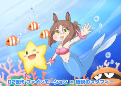 Rule 34 | 1girl, absurdres, animal ears, aonoji, bangle, bikini, bikini top only, blue tail, bracelet, breasts, brown hair, bubble, character name, chibi, clam, clover hair ornament, clownfish, collarbone, commentary request, copyright name, coral, cosplay, crossover, densetsu no stafy, fine motion (umamusume), fins, fish, fish tail, hair between eyes, hair bun, hair ornament, hair ribbon, highres, horse ears, horse girl, jewelry, light brown hair, medium breasts, medium hair, mermaid, mermaid (starfy), mermaid (starfy) (cosplay), midriff, monster girl, navel, one eye closed, pink bikini, red ribbon, ribbon, sidelocks, single hair bun, starfish, starfy, striped ribbon, swimsuit, tail, translated, two-tone ribbon, umamusume, underwater, white ribbon, yellow eyes