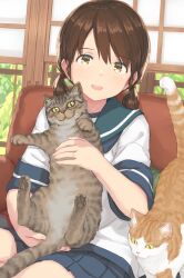 Rule 34 | 1girl, blue skirt, brown eyes, brown hair, cat, hayashi naoharu, highres, indoors, kantai collection, low twintails, miniskirt, open mouth, pleated skirt, school uniform, serafuku, shirayuki (kancolle), short hair, short sleeves, short twintails, sitting, skirt, smile, twintails