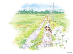 Rule 34 | 1girl, bad id, bad twitter id, brown eyes, brown hair, bucket hat, bug, butterfly, butterfly net, child, copyright request, dress, flower, grass, hand net, hat, holding, holding butterfly net, insect, insect cage, outdoors, power lines, rural, scenery, solo, sundress, tanaka kunihiko, white footwear